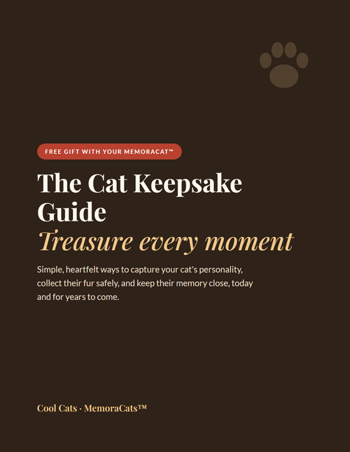 The Cat Keepsake Guide - free eBook cover